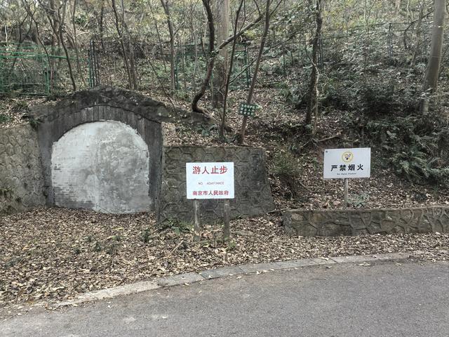 南京紫金山郊野徒步