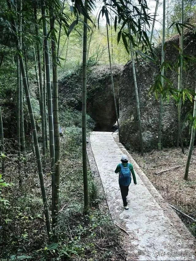 藏于浙江5A景区内有一处“十里铁甲龙”,洞穴众多形态奇特