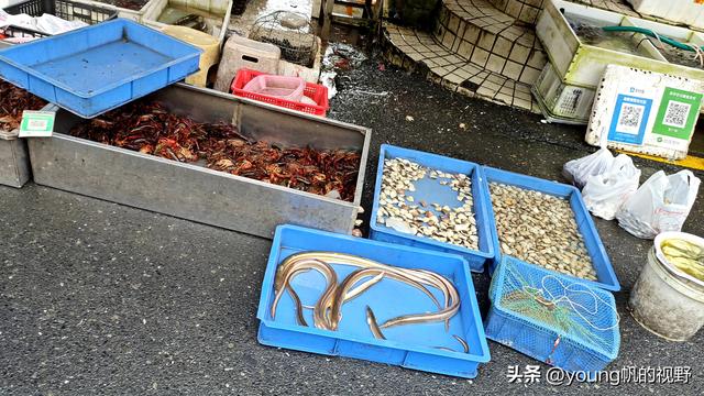 广州南沙金洲，一个充满市井生活气息的地方……