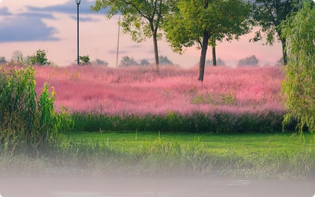 盐都文旅：镌刻璀璨水韵画卷
