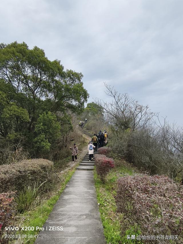 在藤岭，我窥见了温岭的历史和百姓的祈愿