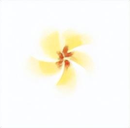 揭秘！生态城这座大花园何以火爆出圈？