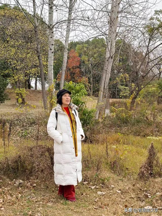 盘龙悠远银杏黄 水中学友情谊长