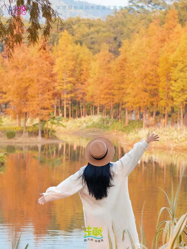 太出片啦!龙岗最浪漫的「美拉德季」即将到来!