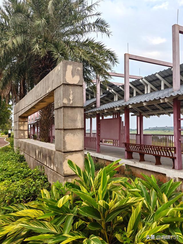 佛山三水芦苞花海生态公园