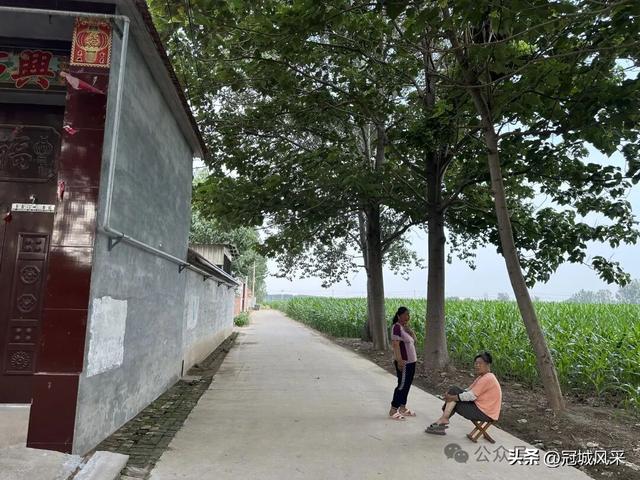 冠县乡韵·辛集镇崔刘八寨