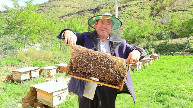 漳县等待每一位“朱迪”和“尼克”前来探险