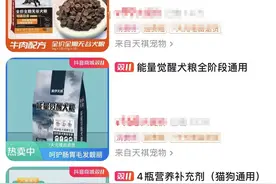 被频繁举报“虐狗”，网红训狗师潘宏暂时停播，网店开业不足2个月图片