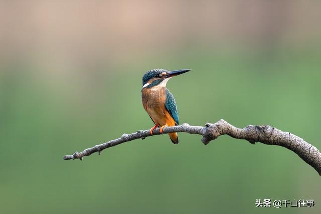 一个人骑车的早晨，才是成年人最顶级的放松方式，比躺平爽10倍！