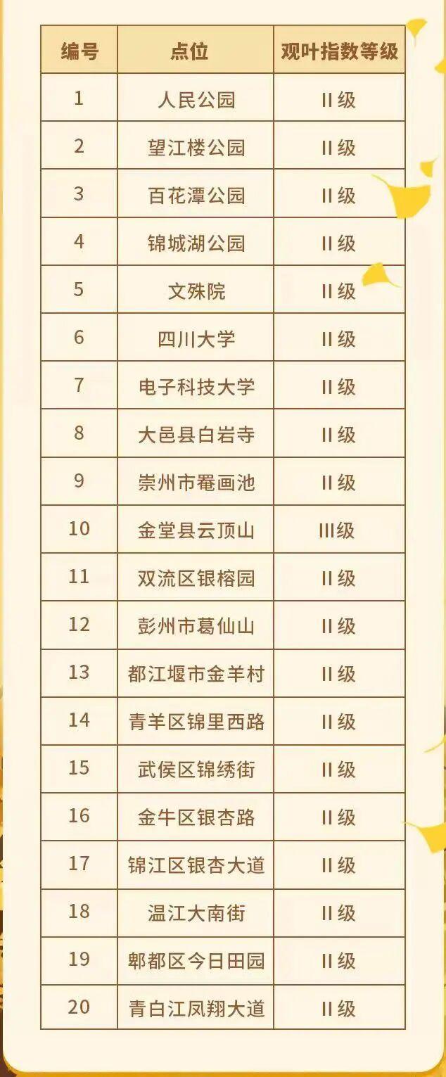成都银杏即将进入最佳观赏期！2025银杏观叶指数新发布→