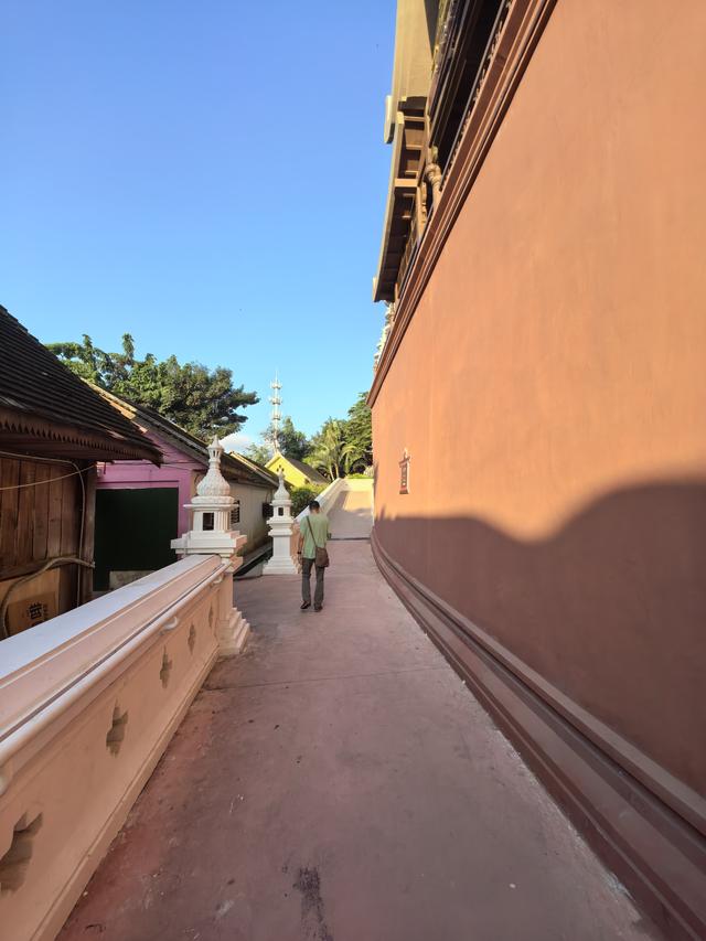 畅游植物王国 体验傣族风情