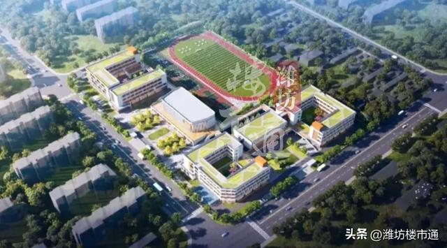 计划曝光!潍坊这里未纳入征收计划~