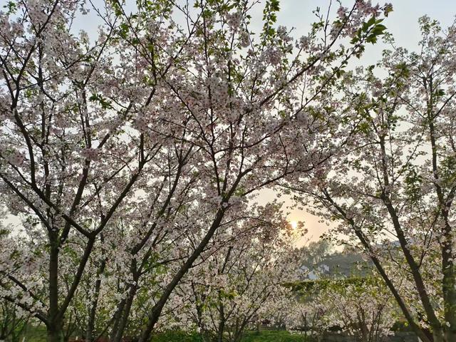 屈原故里（2021.3.15 宜昌·秭归）