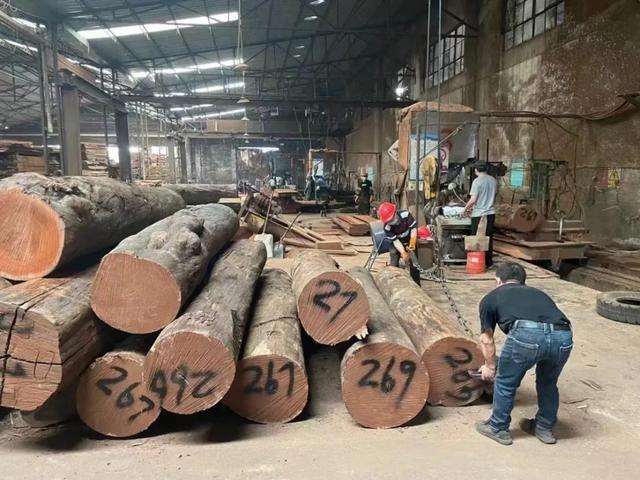 “大门不出二门不迈	”，老祖宗传下来的口头禅	，竟跟四合院有关？