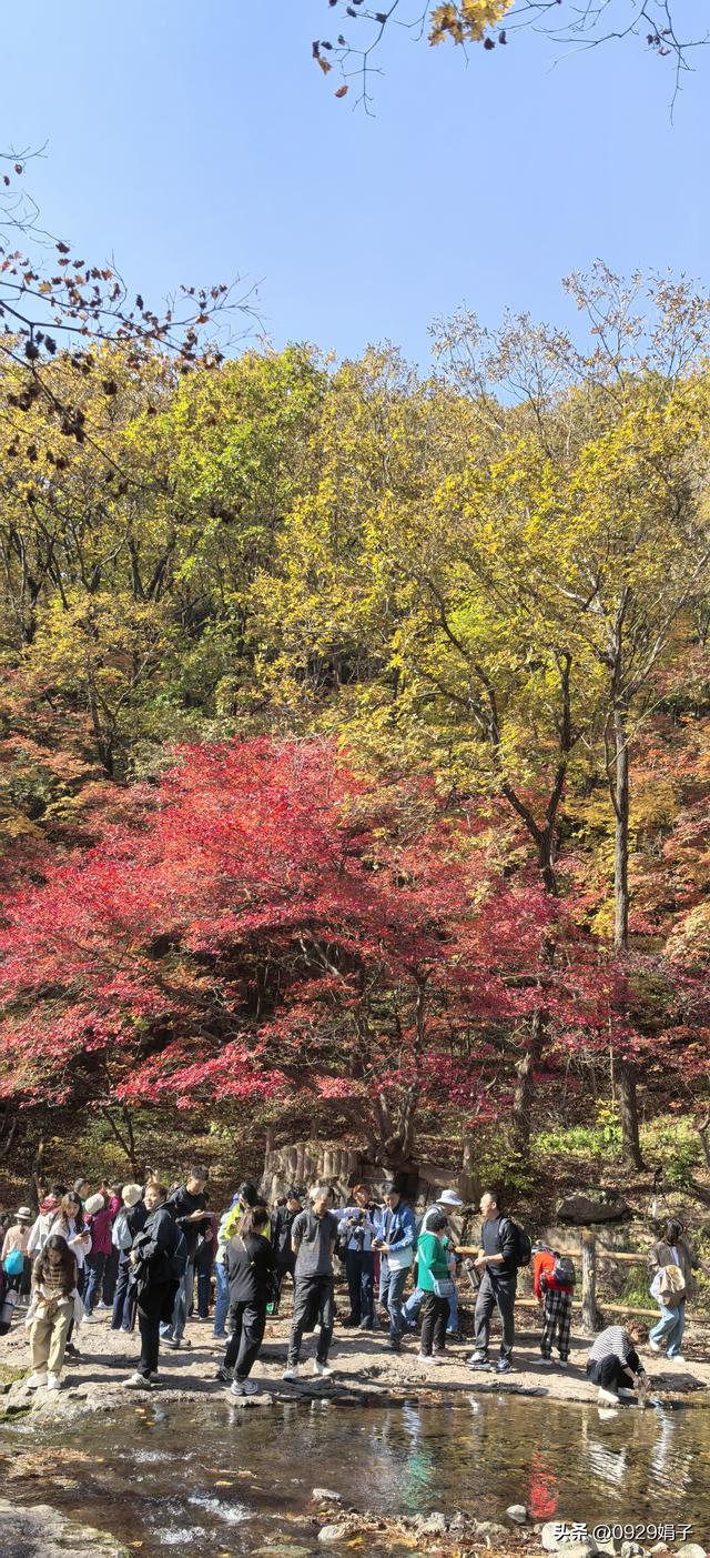 本溪关门山，枫叶之约
