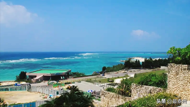 海岛奇遇！非豪门不炫富，以行动筑文化栖息地