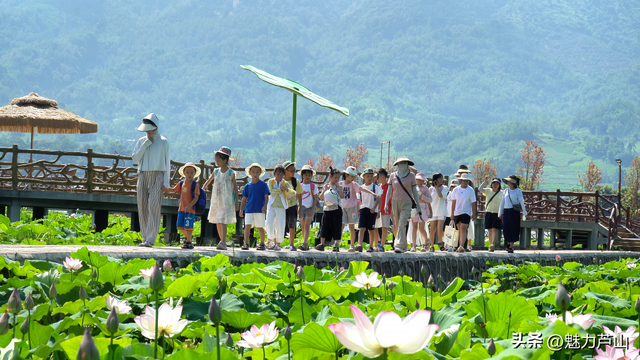 溶洞、冰泉、星空，芦山私藏18℃夏日“避暑游”火了！