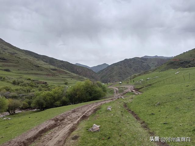 渭源双石门*石门雪山的杜鹃花