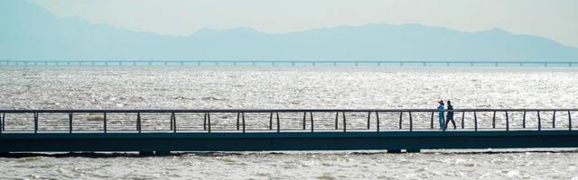 情侣路，凭什么成为大湾区顶流？