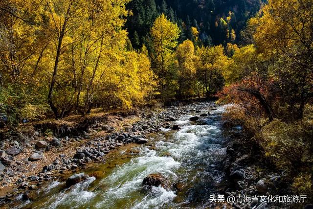 秋风叩黄南，一场与山水私语的秋日浪漫邀约