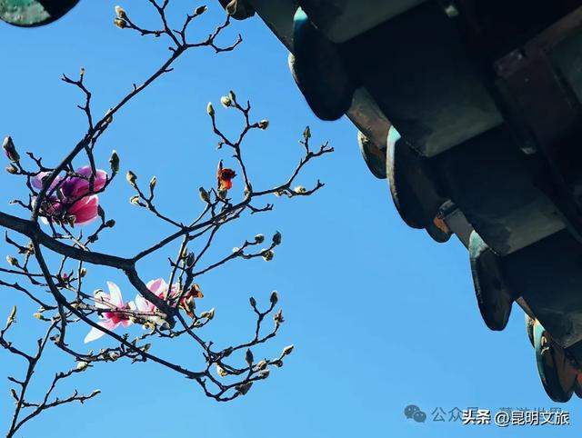 新晋顶流!「阴丹蓝+初雪白」,冬日昆明继续上分,你该换屏保了~