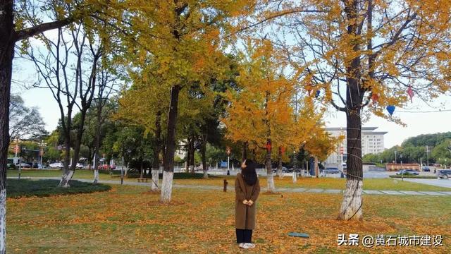 限时绝美!黄石街头颜值巅峰 周末来打卡