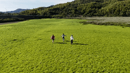 假期未至，宁波营地预定已“火”