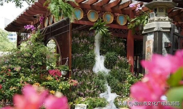 不出远门一样精彩！柳州各大公园日程表出炉，照着玩就对了→