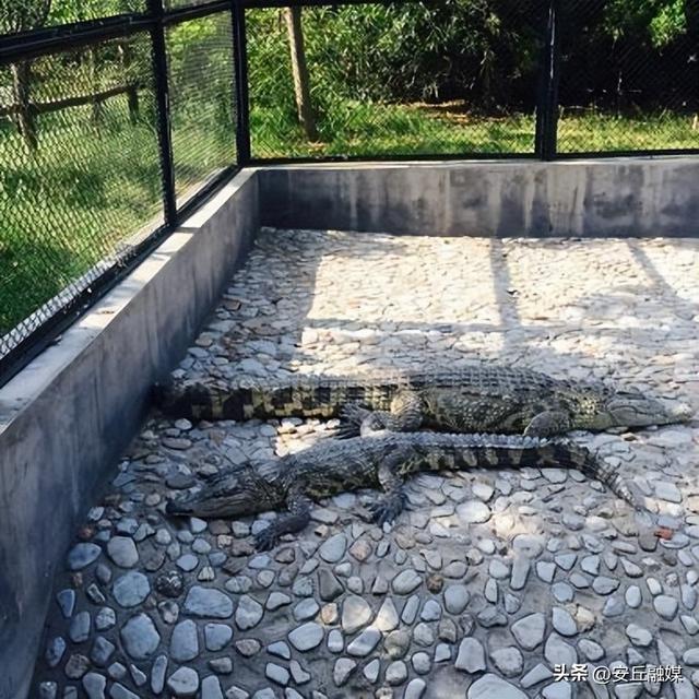 收藏贴！带您玩转潍坊的湖光水色