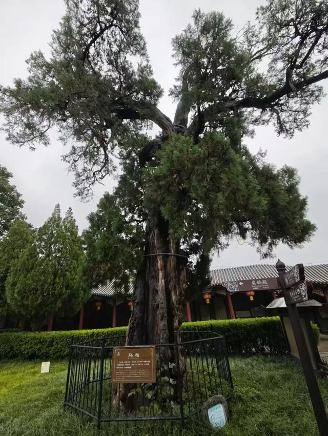 白勇 散文||扁鹊庙游记