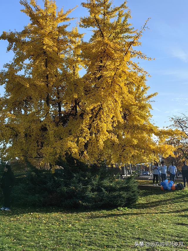 温哥华游记（六）