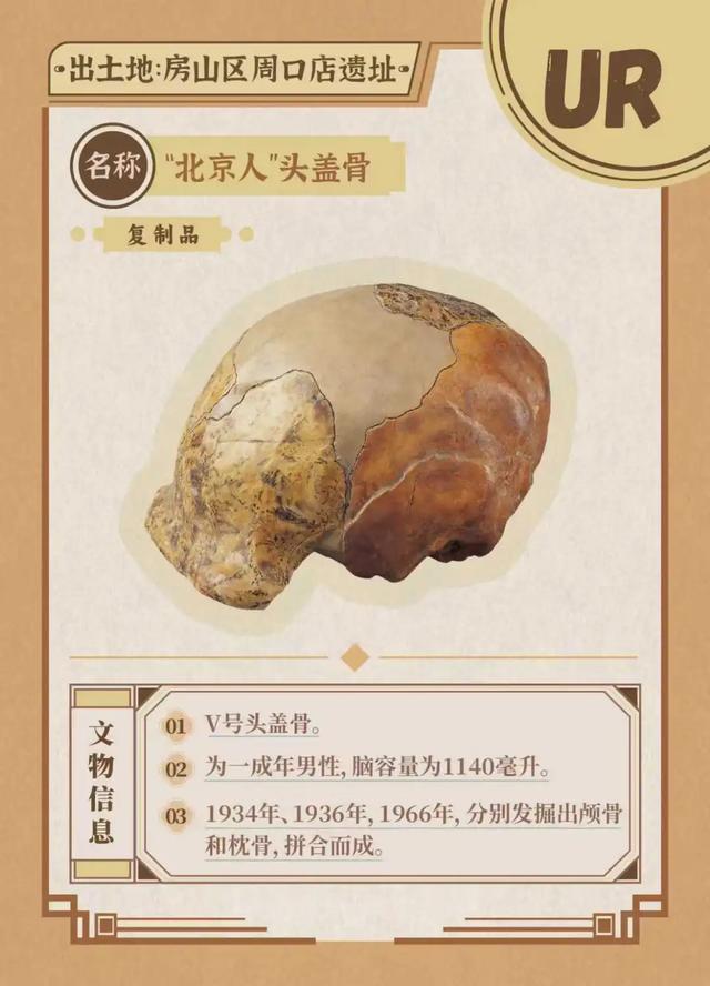 公众考古季丨抽取你的考古“盲卡”——金中都考古体验活动大朋友专场来啦！