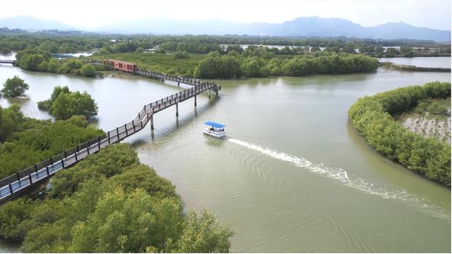 12.12开幕！品鲜蚝、逛湿地、抽温泉票，铁涌农文旅盛宴喊你打卡