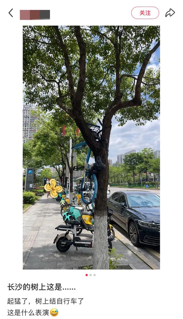 全国最没班味的人都在长沙