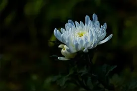 留守儿童之殇·三个恶魔般的初中生图片