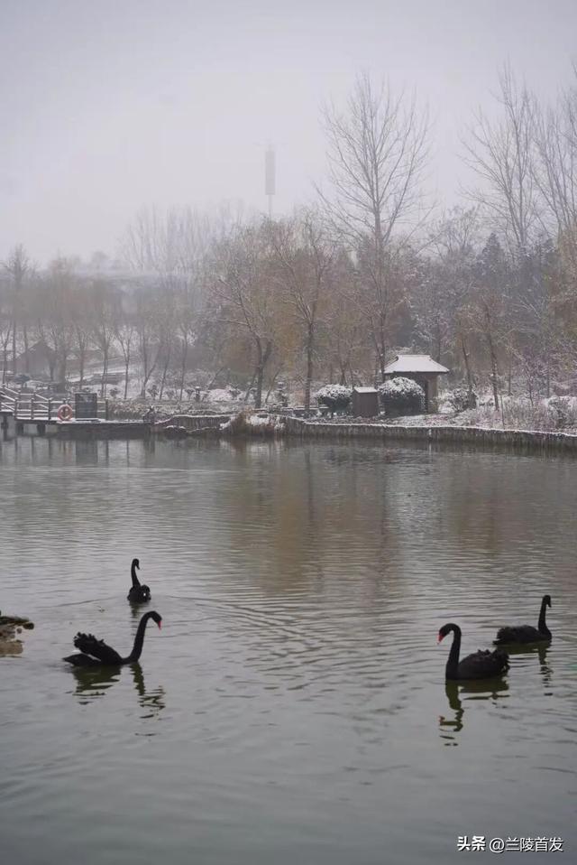 好客山东好品山东｜兰陵县压油沟冬日限定