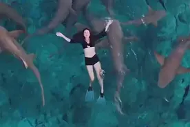 画面曝光！女歌手遭鲨鱼咬伤血流不止，并非第一次！这里是热门旅游地图片