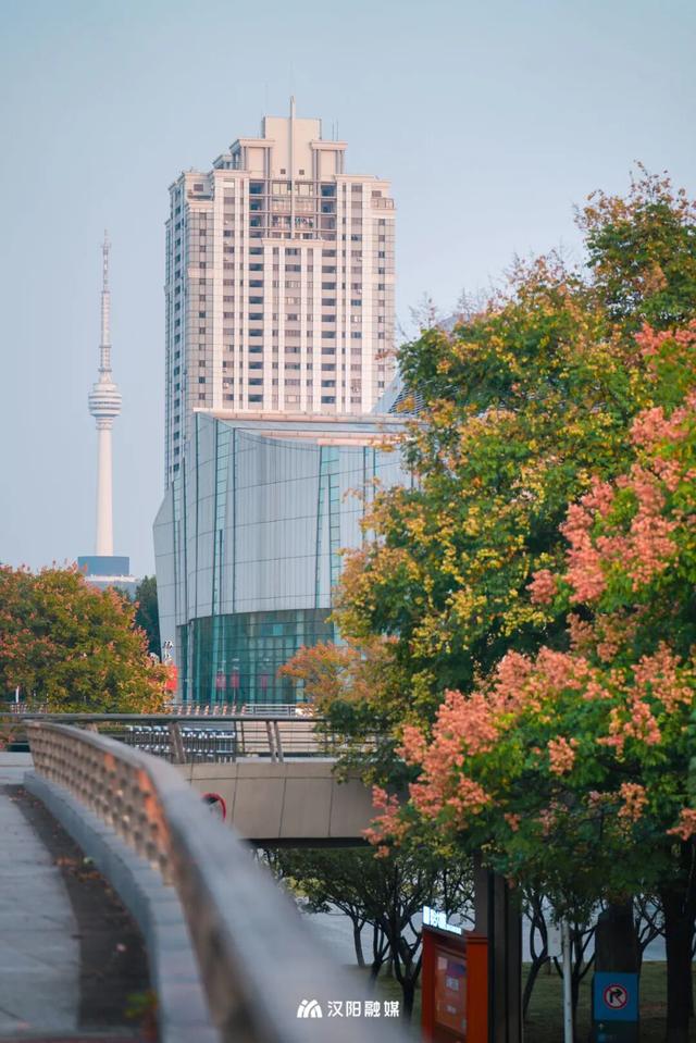 汉阳，变色……了
