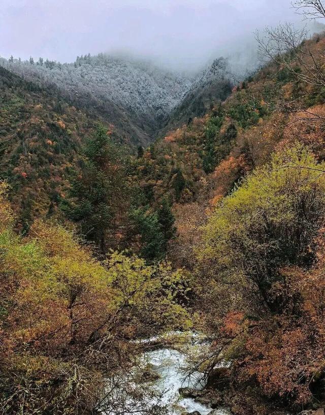 【美丽四川】平武沙棘沟行记：穿过五公里雨雪晴阴 收获“无执”的秋日‖柳红樱