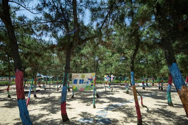 感恩同行！双十二那香海回馈威海市民，12月12日-18日探险世界免费畅玩！