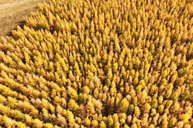 进度已达90%！呼和浩特进入全盛期！最近每天都不一样，呼市人抓紧出门