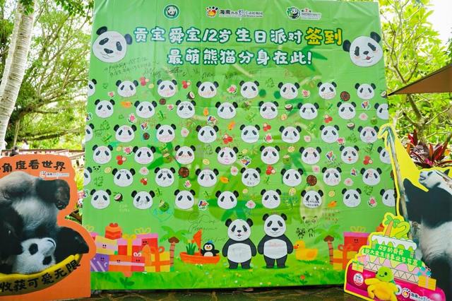 海南热带野生动植物园庆生熊猫兄弟暨国际熊猫粉丝节启幕