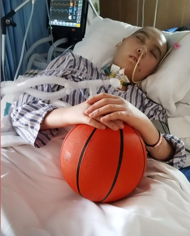 张俊豪去世！仅20岁，高考前遭邻居泄愤撞成植物人，原因曝光离谱