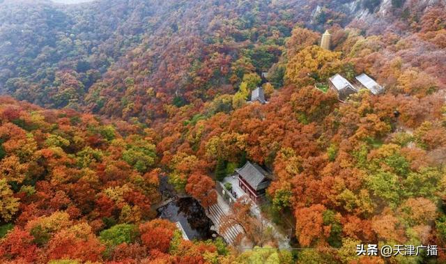 民声 | 国庆中秋假期最新出行提示！预计5200多万人在路上！黄金周乡村游攻略出炉！