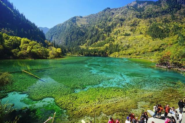 九寨沟十一月的开场，是落叶纷飞染透山川，是彩林叠翠映雪山