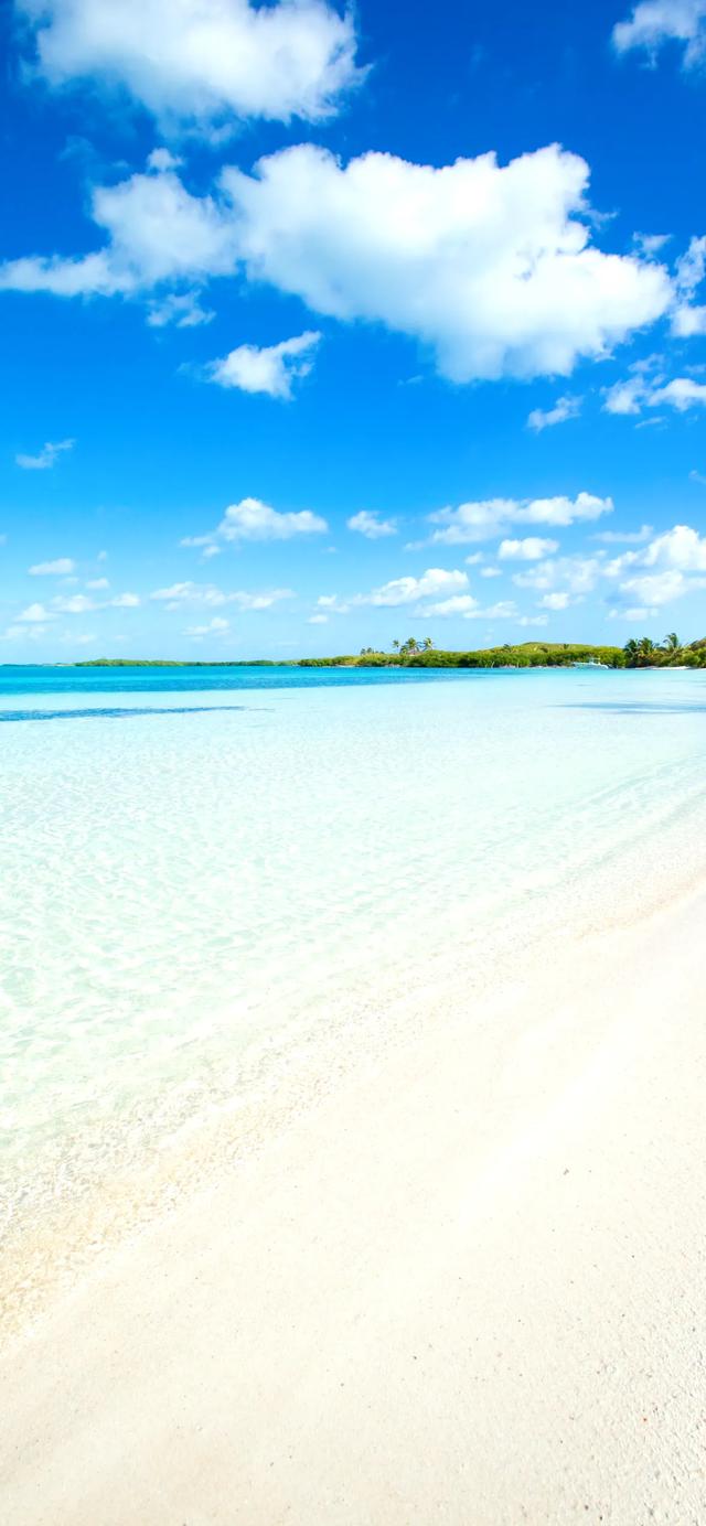 手机壁纸|海景