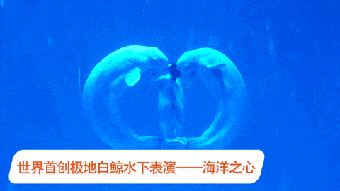 用脚步丈量黑土地 跟着马拉松打卡黑龙江！