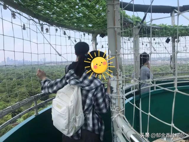 在一趟 “不期待” 的杭州行里，找到了抑郁重生的答案