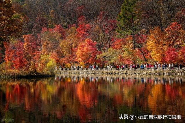 本溪十月赏枫实测攻略！“中国枫叶之都” 交通 + 景点 + 环线不踩坑