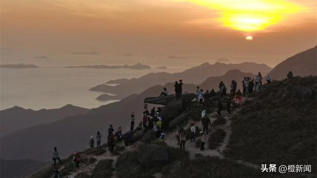 热话｜大东山芒草季迫爆打卡客，网民︰远看像逃难